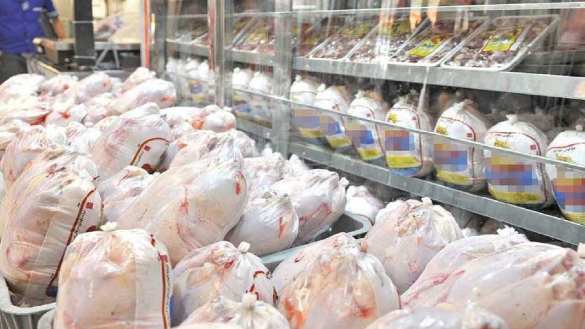 500 هزار قطعه مرغ در بازار توزیع می شود