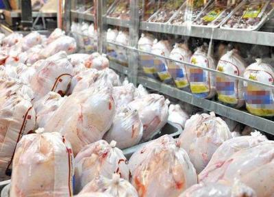 شروع عرضه گوشت مرغ با قیمت مصوب در خراسان شمالی