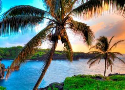 سفر به آمریکا: 12 حقیقت در مورد هاوایی که نمی دانستید