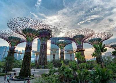 تور سنگاپور ارزان: جاذبه های دیدنی سنگاپور
