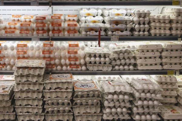 قیمت تازه تخم مرغ بسته بندی شده اعلام شد